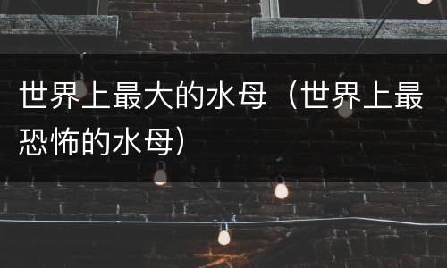 世界上最大的水母（世界上最恐怖的水母）