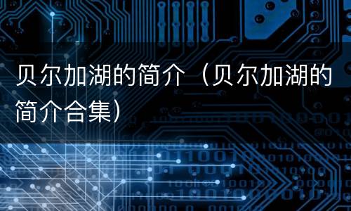 贝尔加湖的简介（贝尔加湖的简介合集）