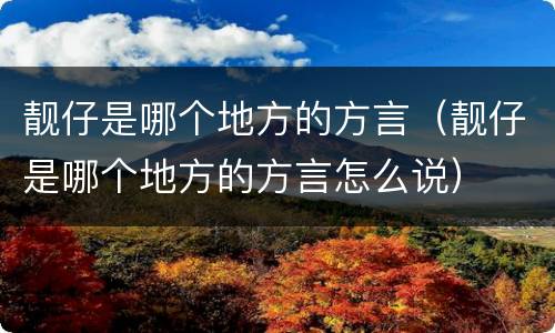 靓仔是哪个地方的方言（靓仔是哪个地方的方言怎么说）