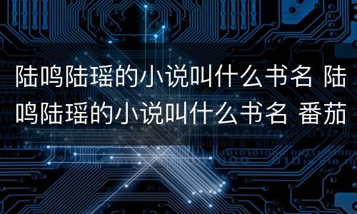 陆鸣陆瑶的小说叫什么书名 陆鸣陆瑶的小说叫什么书名 番茄小说