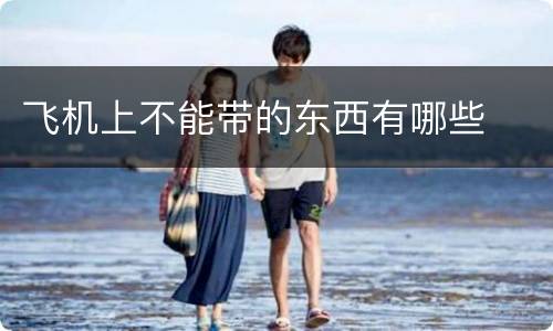 飞机上不能带的东西有哪些
