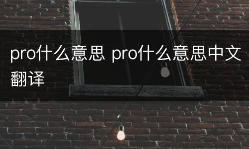 pro什么意思 pro什么意思中文翻译