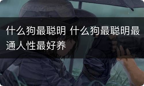 什么狗最聪明 什么狗最聪明最通人性最好养
