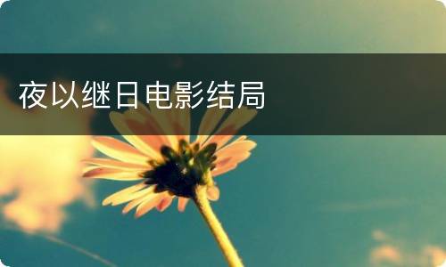 夜以继日电影结局