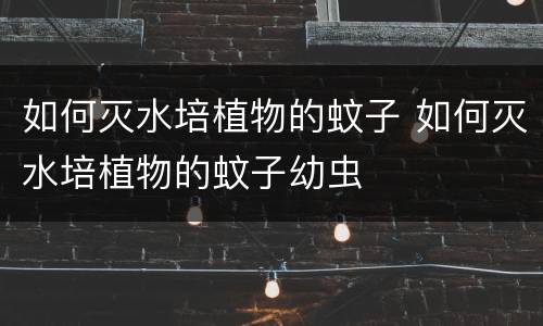 如何灭水培植物的蚊子 如何灭水培植物的蚊子幼虫