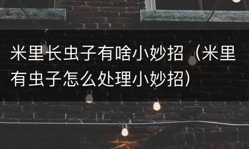 米里长虫子有啥小妙招（米里有虫子怎么处理小妙招）