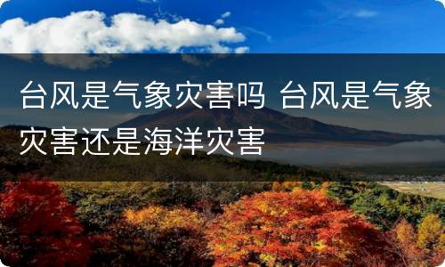 台风是气象灾害吗 台风是气象灾害还是海洋灾害