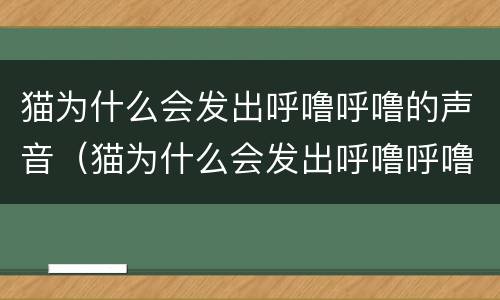 猫为什么会发出呼噜呼噜的声音（猫为什么会发出呼噜呼噜的声音?）