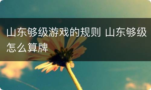山东够级游戏的规则 山东够级怎么算牌