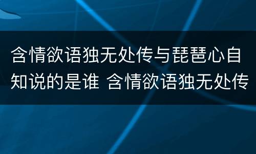 含情欲语独无处传与琵琶心自知说的是谁 含情欲语独无处传与琵琶心自知写的什么人