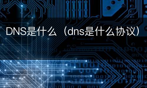 DNS是什么（dns是什么协议）