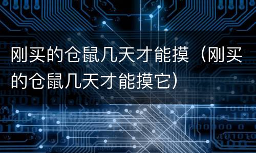 刚买的仓鼠几天才能摸（刚买的仓鼠几天才能摸它）