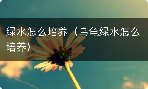 绿水怎么培养（乌龟绿水怎么培养）