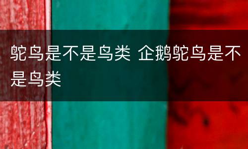 鸵鸟是不是鸟类 企鹅鸵鸟是不是鸟类