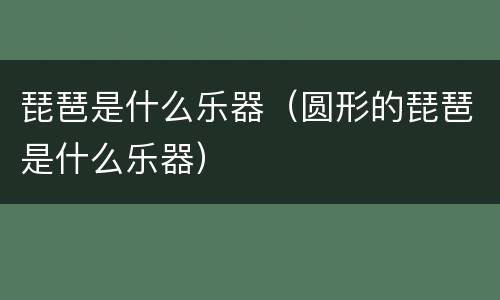 琵琶是什么乐器（圆形的琵琶是什么乐器）