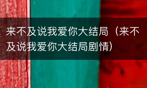 来不及说我爱你大结局（来不及说我爱你大结局剧情）