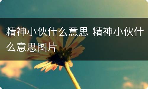 精神小伙什么意思 精神小伙什么意思图片