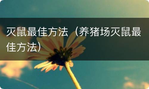 灭鼠最佳方法（养猪场灭鼠最佳方法）