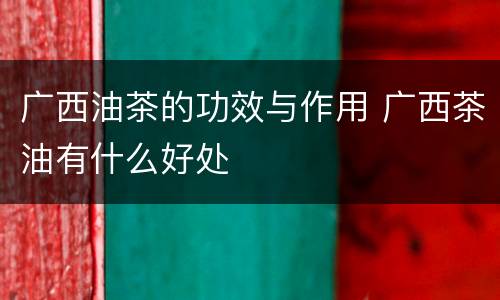 广西油茶的功效与作用 广西茶油有什么好处