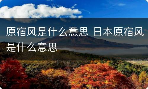 原宿风是什么意思 日本原宿风是什么意思