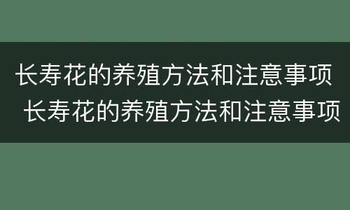 长寿花的养殖方法和注意事项 长寿花的养殖方法和注意事项盆栽