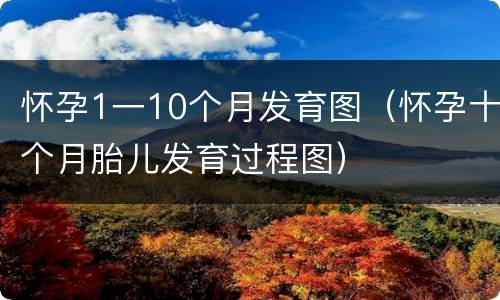 怀孕1一10个月发育图（怀孕十个月胎儿发育过程图）