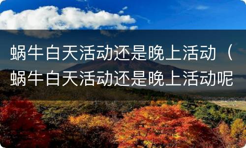 蜗牛白天活动还是晚上活动（蜗牛白天活动还是晚上活动呢）