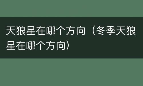 天狼星在哪个方向（冬季天狼星在哪个方向）