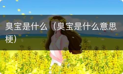 臭宝是什么（臭宝是什么意思梗）