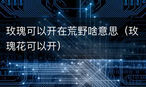 玫瑰可以开在荒野啥意思（玫瑰花可以开）