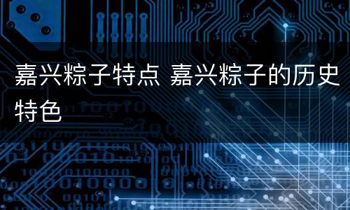 嘉兴粽子特点 嘉兴粽子的历史特色