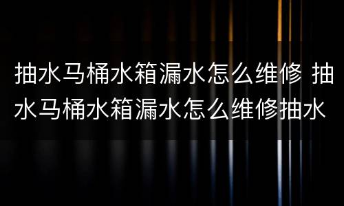 抽水马桶水箱漏水怎么维修 抽水马桶水箱漏水怎么维修抽水箱浮飘底座掉了怎么装