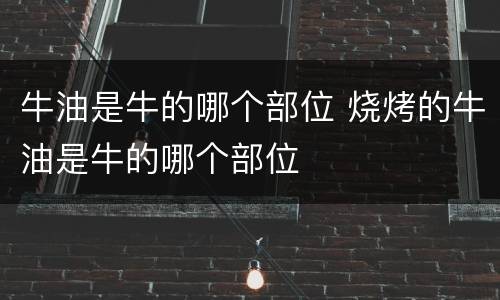 牛油是牛的哪个部位 烧烤的牛油是牛的哪个部位