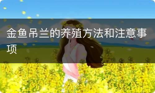 金鱼吊兰的养殖方法和注意事项