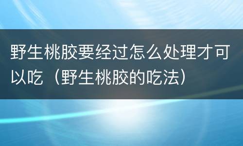 野生桃胶要经过怎么处理才可以吃（野生桃胶的吃法）