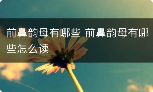 前鼻韵母有哪些 前鼻韵母有哪些怎么读