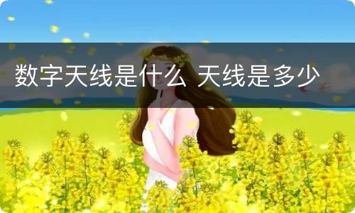 数字天线是什么 天线是多少