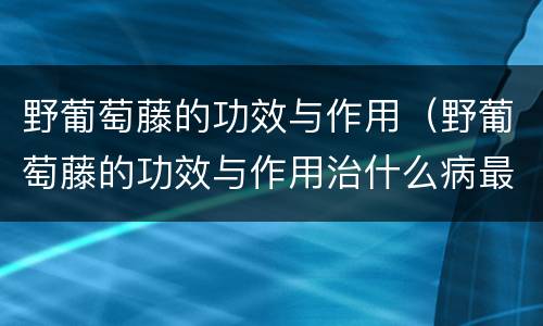 野葡萄藤的功效与作用（野葡萄藤的功效与作用治什么病最好）
