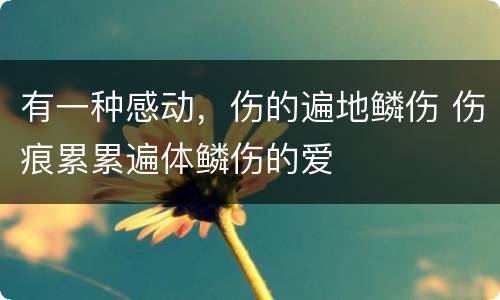 有一种感动，伤的遍地鳞伤 伤痕累累遍体鳞伤的爱