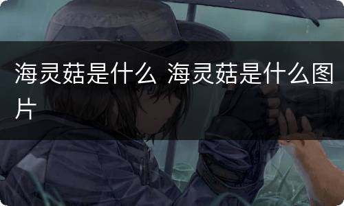 海灵菇是什么 海灵菇是什么图片