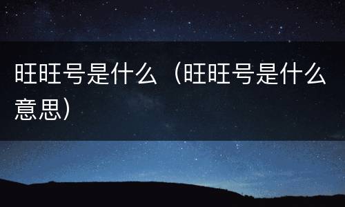 旺旺号是什么（旺旺号是什么意思）