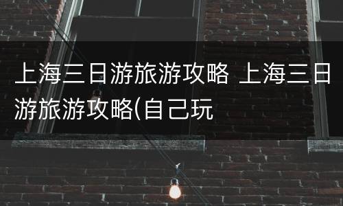 上海三日游旅游攻略 上海三日游旅游攻略(自己玩