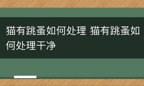 猫有跳蚤如何处理 猫有跳蚤如何处理干净
