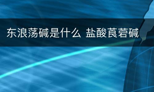 东浪荡碱是什么 盐酸莨菪碱