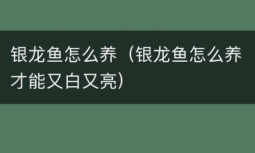 银龙鱼怎么养（银龙鱼怎么养才能又白又亮）
