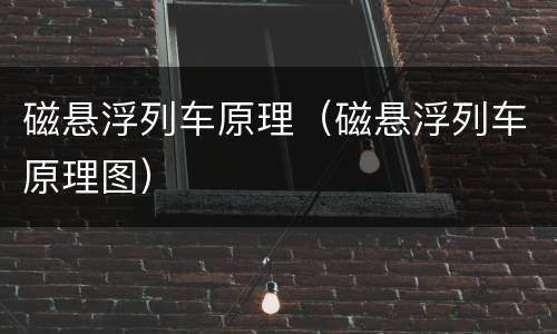 磁悬浮列车原理（磁悬浮列车原理图）