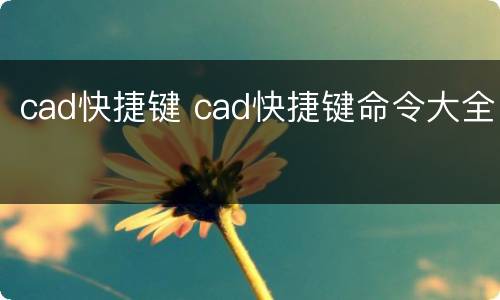 cad快捷键 cad快捷键命令大全