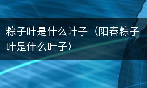 粽子叶是什么叶子（阳春粽子叶是什么叶子）