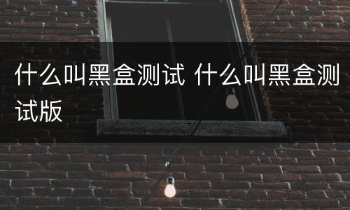 什么叫黑盒测试 什么叫黑盒测试版