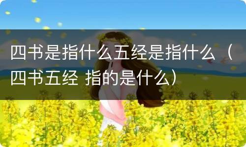 四书是指什么五经是指什么（四书五经 指的是什么）